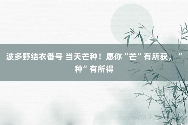 波多野结衣番号 当天芒种！愿你“芒”有所获，“种”有所得