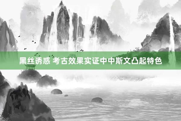 黑丝诱惑 考古效果实证中中斯文凸起特色