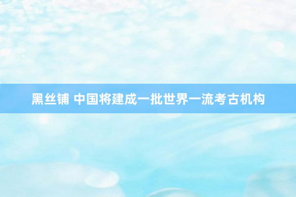 黑丝铺 中国将建成一批世界一流考古机构