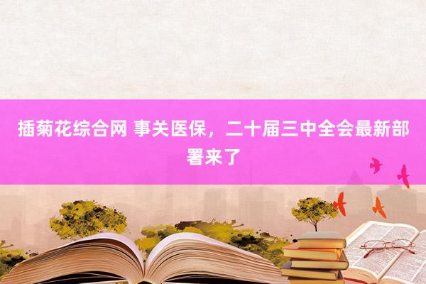 插菊花综合网 事关医保，二十届三中全会最新部署来了