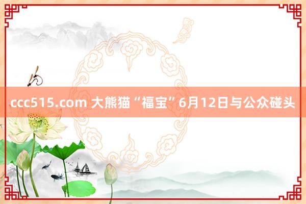 ccc515.com 大熊猫“福宝”6月12日与公众碰头