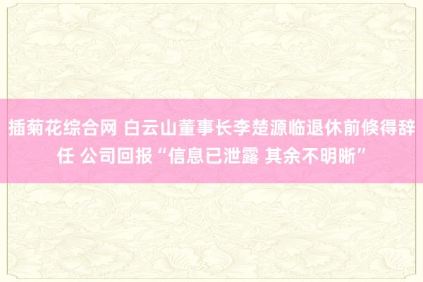 插菊花综合网 白云山董事长李楚源临退休前倏得辞任 公司回报“信息已泄露 其余不明晰”