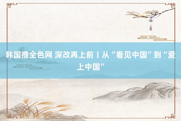 韩国撸全色网 深改再上前丨从“看见中国”到“爱上中国”