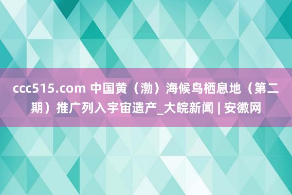 ccc515.com 中国黄（渤）海候鸟栖息地（第二期）推广列入宇宙遗产_大皖新闻 | 安徽网