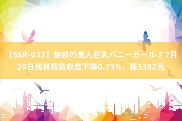 【SSR-032】魅惑の美人巨乳バニーガール 2 7月29日线材期货收盘下降0.73%，报3382元