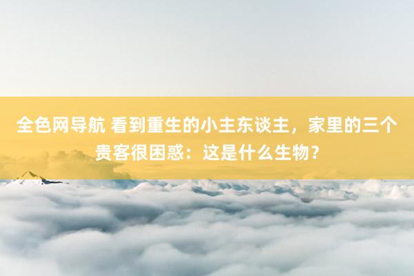 全色网导航 看到重生的小主东谈主，家里的三个贵客很困惑：这是什么生物？