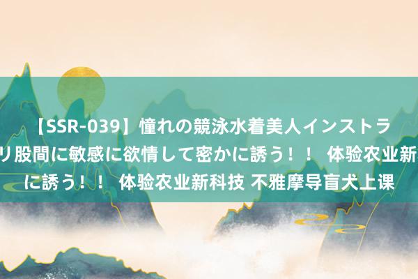 【SSR-039】憧れの競泳水着美人インストラクターは生徒のモッコリ股間に敏感に欲情して密かに誘う！！ 体验农业新科技 不雅摩导盲犬上课