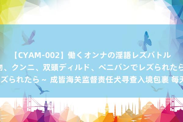 【CYAM-002】働くオンナの淫語レズバトル 2 ～もしも職場で濃厚接吻、クンニ、双頭ディルド、ペニバンでレズられたら～ 成皆海关监督责任犬寻查入境包裹 每天搜寻近4000个