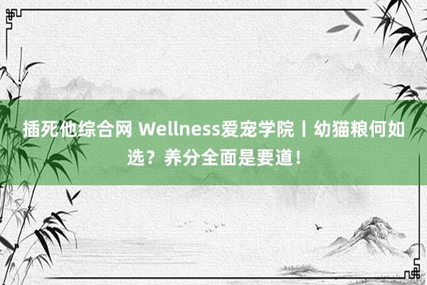 插死他综合网 Wellness爱宠学院丨幼猫粮何如选？养分全面是要道！