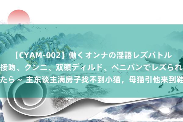 【CYAM-002】働くオンナの淫語レズバトル 2 ～もしも職場で濃厚接吻、クンニ、双頭ディルド、ペニバンでレズられたら～ 主东谈主满房子找不到小猫，母猫引他来到鞋盒前，掀开一看后网友笑了