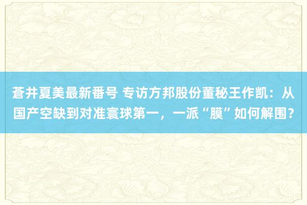 蒼井夏美最新番号 专访方邦股份董秘王作凯：从国产空缺到对准寰球第一，一派“膜”如何解围？