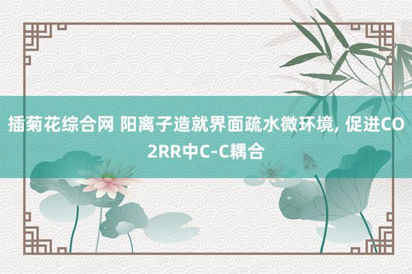 插菊花综合网 阳离子造就界面疏水微环境， 促进CO2RR中C-C耦合