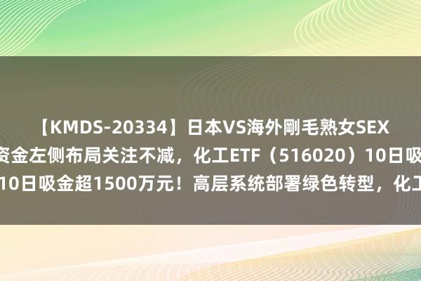 【KMDS-20334】日本VS海外剛毛熟女SEX対決！！40人8時間 资金左侧布局关注不减，化工ETF（516020）10日吸金超1500万元！高层系统部署绿色转型，化工板块何如获益？