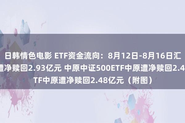 日韩情色电影 ETF资金流向：8月12日-8月16日汇添富800ETF遭净赎回2.93亿元 中原中证500ETF中原遭净赎回2.48亿元（附图）