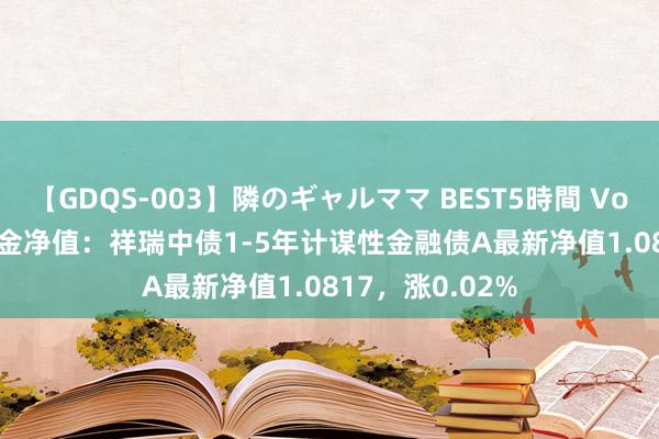 【GDQS-003】隣のギャルママ BEST5時間 Vol.2 8月22日基金净值：祥瑞中债1-5年计谋性金融债A最新净值1.0817，涨0.02%