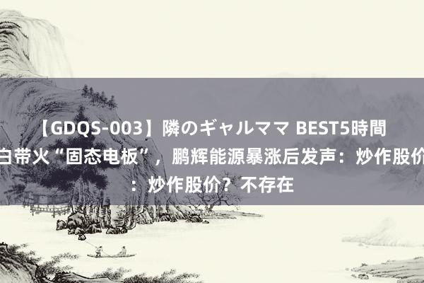 【GDQS-003】隣のギャルママ BEST5時間 Vol.2 告白带火“固态电板”，鹏辉能源暴涨后发声：炒作股价？不存在