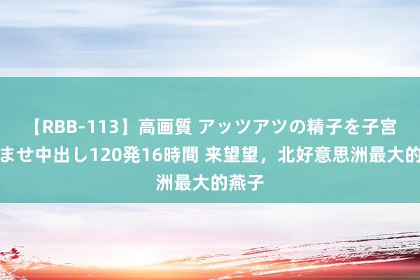 【RBB-113】高画質 アッツアツの精子を子宮に孕ませ中出し120発16時間 来望望，北好意思洲最大的燕子