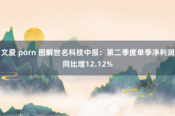 文爱 porn 图解世名科技中报：第二季度单季净利润同比增12.12%