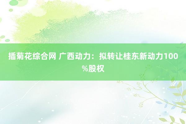 插菊花综合网 广西动力：拟转让桂东新动力100%股权