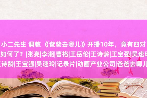 小二先生 调教 《爸爸去哪儿》开播10年，竟有四对匹俦离异！那些孩子齐如何了？|张亮|李湘|曹格|王岳伦|王诗龄|王宝强|吴速玲|记录片|动画产业公司|爸爸去哪儿(电影)