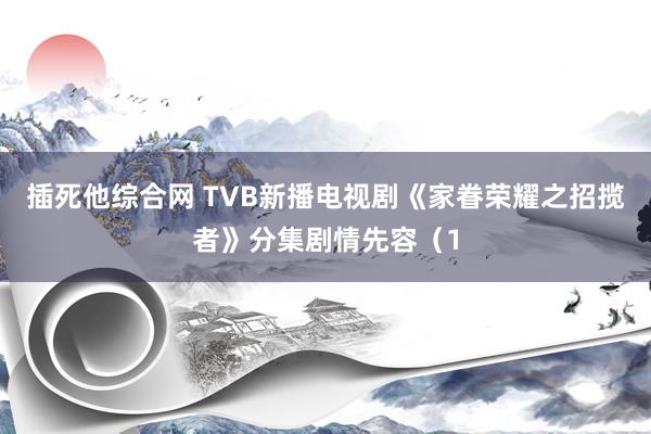 插死他综合网 TVB新播电视剧《家眷荣耀之招揽者》分集剧情先容（1