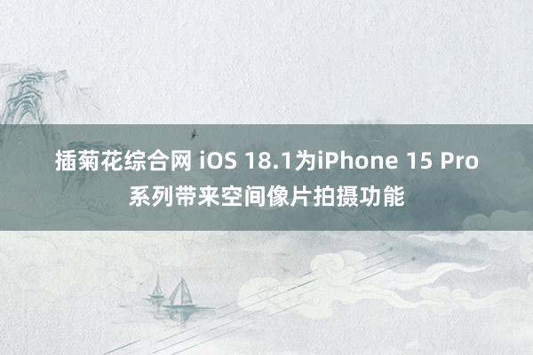 插菊花综合网 iOS 18.1为iPhone 15 Pro系列带来空间像片拍摄功能