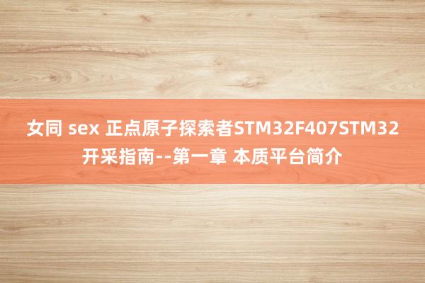 女同 sex 正点原子探索者STM32F407STM32开采指南--第一章 本质平台简介