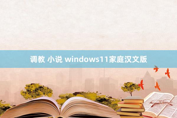 调教 小说 windows11家庭汉文版