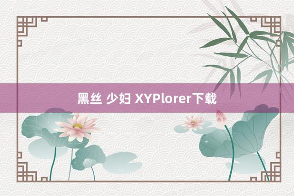 黑丝 少妇 XYPlorer下载