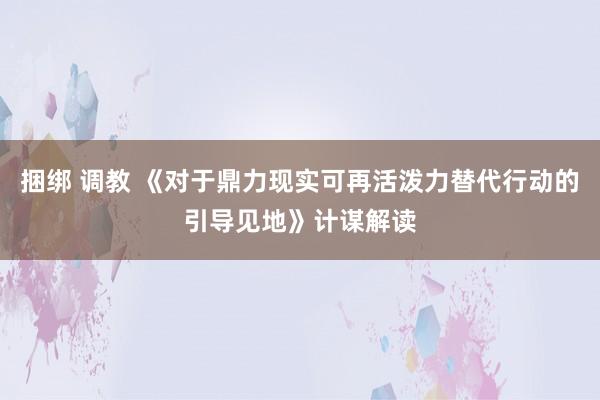 捆绑 调教 《对于鼎力现实可再活泼力替代行动的引导见地》计谋解读