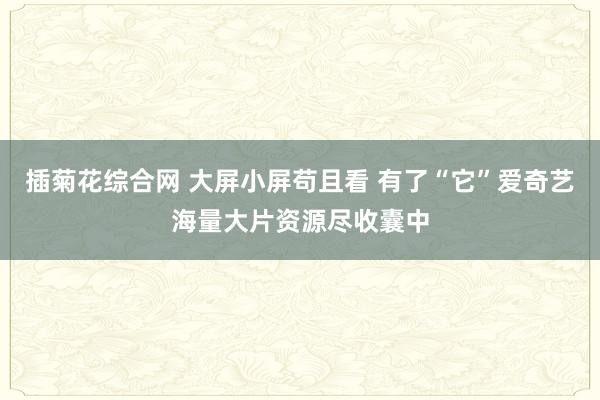 插菊花综合网 大屏小屏苟且看 有了“它”爱奇艺海量大片资源尽收囊中